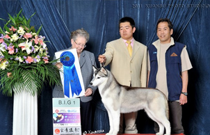 �팚Ȯ�I(y��)2010���-2011���ِ�¿��Y(ji��)ƪ