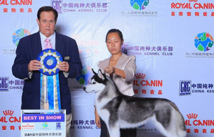 �팚Ȯ�I(y��)2010���-2011��ȣ�ָ��(d��o)�ָ����K�R��