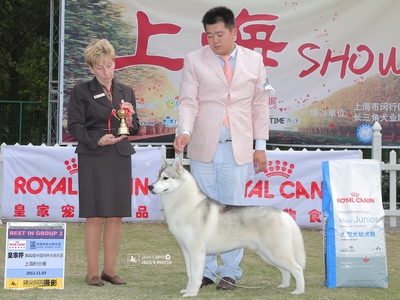 2012��11���Ϻ��팚Ȯ�I���Ϻ�CKC