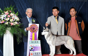 �팚Ȯ�I(y��)2010���-2011��ȣ�ָ��(d��o)�ֺ�����K�R��