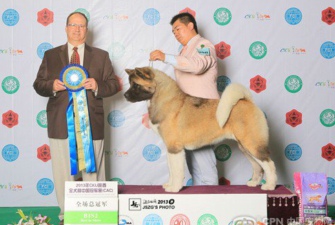 �팚Ȯ�I(y��)��2013�������Y�^ȥ��չ��δ��~