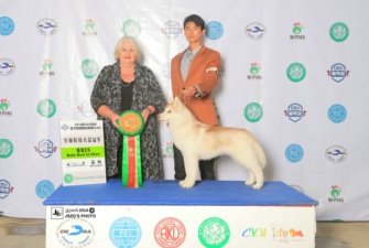 �Ї�������ֳ�����ʹ��������ȮSONATAһ̥BIS��Ȯ�����������ķ�ֳ��