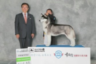 2014��5�½��ACKU ��һ��δ��֮�ǵǈ�����һ��Ҋ�C�팚��ֳ�wϵ�ă���~��