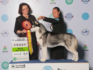 �����η�����L��ϲ���ֵ��˱�ِ�r�����팚��С���^�m�����x�ͣ�������L