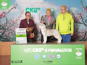 2015��3��CKU�Ϻ���F�҈@վ���팚С��������L�l���ٽ��م�~��