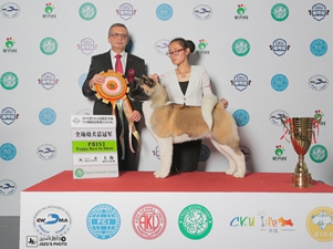 2015��3��CKU�Ϻ������^վ���팚Ȯ�I�^�m�Z��~