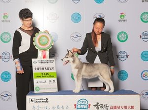 2015��5�µ׺���CKU���팚Ȯ�I����ِ�¼��\