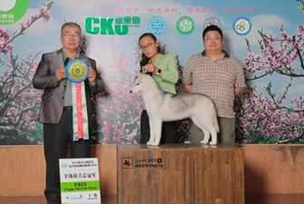 2015��8��CKU �Ϻ���F�҈@վ���팚Ȯ�I�p��\~