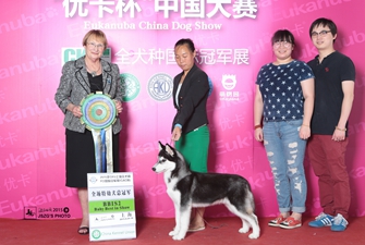 2015��8��CKU�Ϻ������^վ���팚Ȯ�I�^�m�Z��~