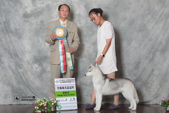 2015��9��CKU �Ϻ���F�҈@վ���팚Ȯ�I�p��\~