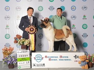 CKUȫȮ�N��܊չ3�³��Ϸ�վ���팚��С���يZ���~��