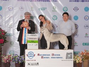CKUȫȮ�N��܊չ4���Ϻ�վ���팚��С���يZ���~��